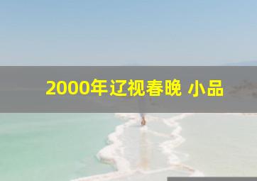 2000年辽视春晚 小品